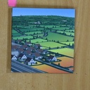 LEMON JELLY - LEMON JELLY - CD