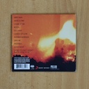 RYAN ADAMS - ASHES & FIRE - CD