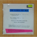 THE FLOWER POT MEN - A WALK IN THE SKY / AM I LOSING YOU - SINGLE