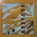 TRANSFORMES - GIRO FRESCO - LP