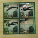 LOUIS CHEDID - PANIQUEE ORGANISEE - LP