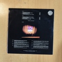 GURE BIDEA - MILA ALDIZ ERORI GARA - LP