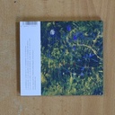 KIKI D AKI - VILLA FLIR - CD