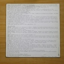 VARIOS - FIESTA INDEPENDIENTE - LP