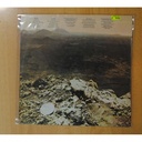 DAVID COURTNEY - FIRST DAY - LP