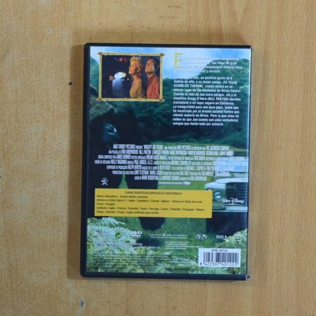 MI GRAN AMIGO JOE - DVD