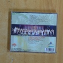 LOS SABANDEï¿½OS - TEIDE Y NUBLO - CD