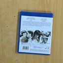 UN VERANO CON MONICA - BLURAY