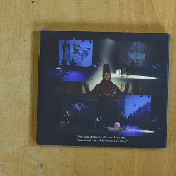 JEREMY REED & THE GONGER LIGHT - DOWN FOR YOU IS UP - CD