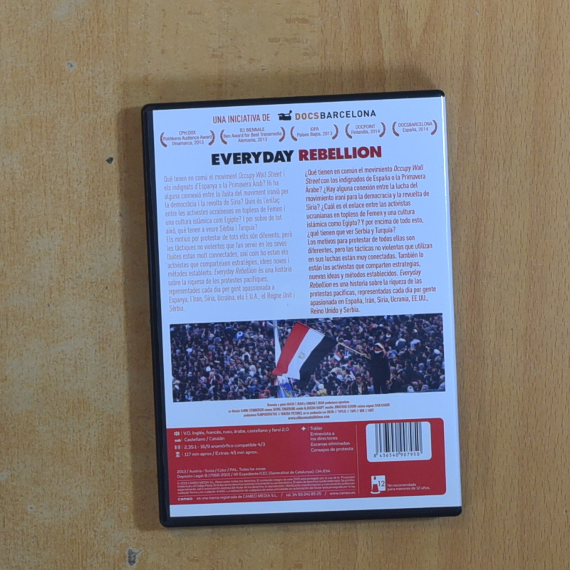 EVERYDAY REBELLION - DVD