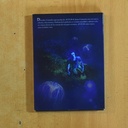 AVATAR - DVD