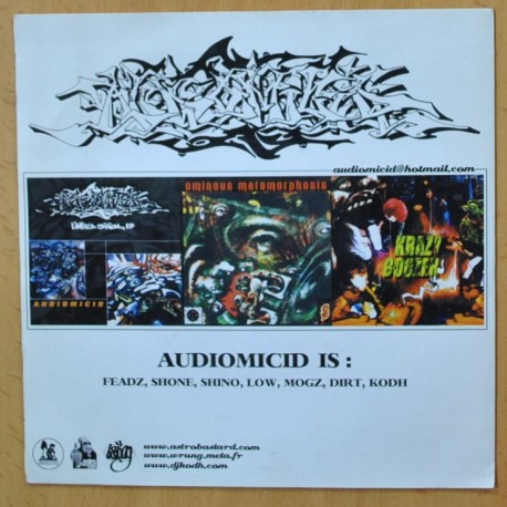 AUDIOMICID - HIP FLASK - SINGLE