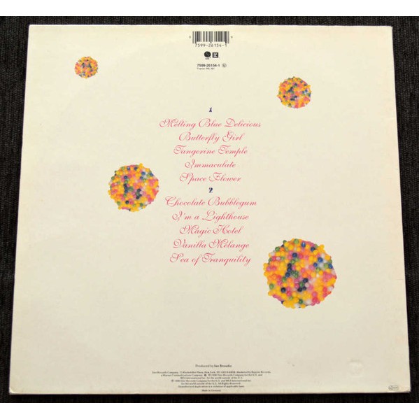 THE WILD SWANS - SPACE FLOWER - LP (1)