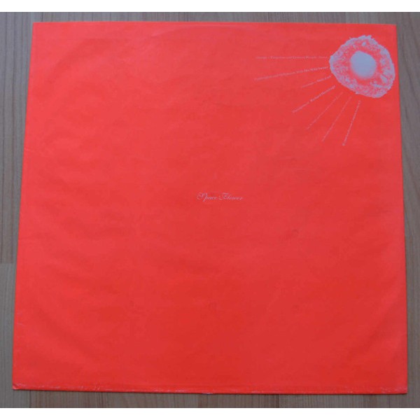 THE WILD SWANS - SPACE FLOWER - LP (2)