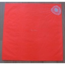 THE WILD SWANS - SPACE FLOWER - LP (2)