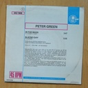 PETER GREEN - IN THE SKIES - PROMO SINGLE