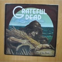 GRATEFUL DEAD - WAKE OF THE FLOOD - ALEMANIA 1989 VINILO BLANCO LP
