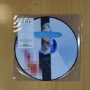 BIFFY CLYRO - A CELEBRATION OF ENDINGS - PICTURE LP