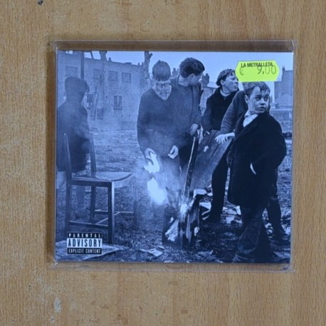 GERRY CINNAMON - THE BONNY - CD