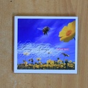 MATTHEW SWEET - LIVING THINGS - CD