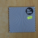 THE VACANT LOTS - DAMAGE CONTROL - CD