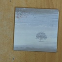 GENESIS - WIND & WUTHERING - CD