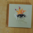 JOSE PADILLA - MAN RAY 4 - CD