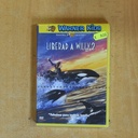LIBERAD A WILLY 2 - DVD