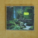 VARIOS - FLUTE DREAMS - CD