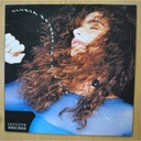 GLORIA ESTEFAN - INTO THE LIGHT - LP